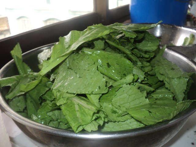Burong Mustasa