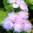 http://images.plurk.com/02cbdf0d01b158d582465c88b770acdd.jpg