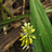 http://images.plurk.com/04b2b38f79ded98d24c70490e9a33bdc.jpg