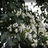 http://images.plurk.com/0581bdefa945a89babc058da149e8bc0.jpg