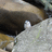 http://images.plurk.com/064ad296656217f8759af1e3273663a4.jpg