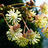 http://images.plurk.com/10c7811581427756c621735aaa5e81ff.jpg