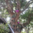 http://images.plurk.com/126a008f60ed3f1b7462e3ffecef2e8d.jpg