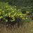 http://images.plurk.com/15329a7277405e973b5dd277bbbc161b.jpg