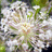 http://images.plurk.com/1837b74c4b434fa87c9d0df86da6d5db.jpg
