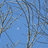 http://images.plurk.com/18f9b3175ba343f1b442bca846708541.jpg