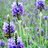 http://images.plurk.com/1bf28133b837109b636011a11b2d3238.jpg