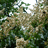 http://images.plurk.com/21c39ba17d812c5c0a18400ec8fd5a77.jpg