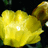 http://images.plurk.com/3077dc834ac694a1b9476b0a34ad1b10.jpg