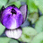 http://images.plurk.com/31efe96743d9782764254a5e372d4880.jpg