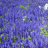http://images.plurk.com/3218d89d599ac8ae8238002b91cbcc07.jpg