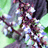 http://images.plurk.com/397b0b6027666a1ad1a23d9b8ecf616e.jpg