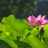 http://images.plurk.com/3de1a75b9bf3071e8abceb6e34af9aa3.jpg
