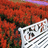 http://images.plurk.com/3de8910be3ffe7d65f67ae805c7c10dd.jpg