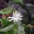 http://images.plurk.com/3dfbdfa4fa28bbf210d7e3d4c2fc485c.jpg