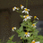 http://images.plurk.com/401b3a7b747de1373c39df25441cb4a9.jpg