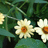 http://images.plurk.com/4335360_4a60a73b79b95f3c6fd3e6d63871207d.jpg
