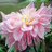 http://images.plurk.com/4335360_9f411cbc24be1ad65ad3d1f24ac3d419.jpg