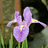 http://images.plurk.com/4335360_f8ee7843b355ac26ab41f0f8f06b1ca7.jpg