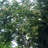 http://images.plurk.com/43f0a4e2272e8633240afdafe2357e2d.jpg