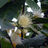 http://images.plurk.com/47ad8a1c189a1171d6cad25be35fbf53.jpg