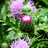 http://images.plurk.com/4bd606d27013370930e76ed1a4e4505d.jpg