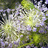 http://images.plurk.com/4e9d32a04b1911829d5bb7176baf707c.jpg