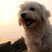 http://images.plurk.com/4f3e0e7d38b0d32b06b767d9e2544182.jpg