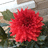 http://images.plurk.com/5299364_0c08859066cf3aee0add8842d51b7aa6.jpg