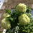 http://images.plurk.com/5299364_1ed5532e00df639c11fd8bb62ee67de5.jpg