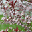 http://images.plurk.com/5299364_7efcab7d10528c698963ca617ac0fb7a.jpg