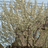 http://images.plurk.com/5299364_806e3d634ba9bfeda6612b804cb08329.jpg
