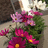 http://images.plurk.com/5299364_c8507c026c1bc11a0c8f0f6dcfd6e208.jpg