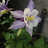 http://images.plurk.com/5299364_ec66326dffa80be099f91f838cf79589.jpg