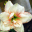 http://images.plurk.com/5528121a3d55aaacfe2f6e7d43ff4dfa.jpg