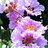 http://images.plurk.com/5d4683911d4f5a1641acdb053060f3e1.jpg