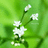 http://images.plurk.com/6d3db3ba9f09f26b4471ac30f899b99d.jpg