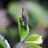 http://images.plurk.com/707291d512cfd8bc5a406d7f05aa6f89.jpg