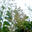 http://images.plurk.com/760f7460f8f80bb24044a2591f3b4c79.jpg