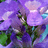 http://images.plurk.com/76306feef449496bda0ab71005ef0726.jpg