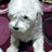 http://images.plurk.com/7652d3731593c397028a80b9d5a0bb12.jpg