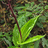 http://images.plurk.com/7c7f7ac76c2b51403598f213e5ab3279.jpg