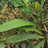 http://images.plurk.com/7d69f0faeaf4811107ebfb5734deb34f.jpg