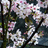 http://images.plurk.com/7d70cd738316144971437c718f7cfb88.jpg