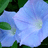 http://images.plurk.com/7f13fd0129ee6cfcbea95035f4e87f4f.jpg
