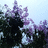 http://images.plurk.com/8203d2e3920486a4f2307c9082aea739.jpg