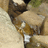http://images.plurk.com/82653120a2b349e02a3788cc5084ee7e.jpg