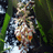http://images.plurk.com/89b950e159517a6d8f0c1120dceacfe9.jpg