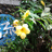 http://images.plurk.com/8d27b27c3edf2e26e97b30cb1a49369c.jpg