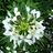 http://images.plurk.com/9193d28ea7bc31071cd3e66dbfcd6f4d.jpg